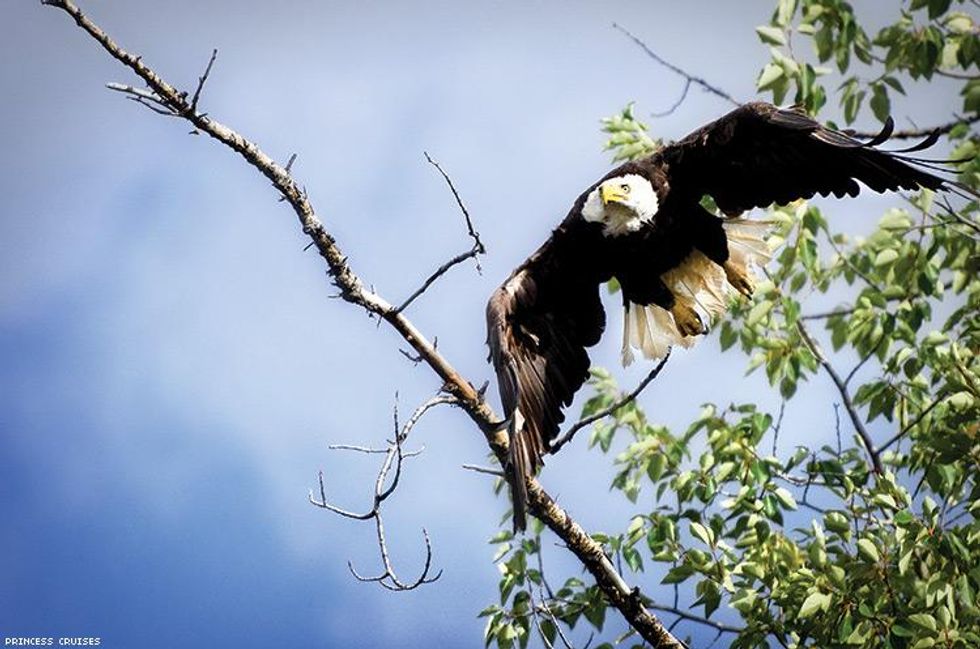 Losing My Virginity In Alaska