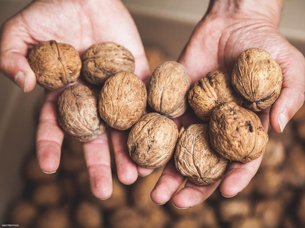 man hands holding many walnut shells