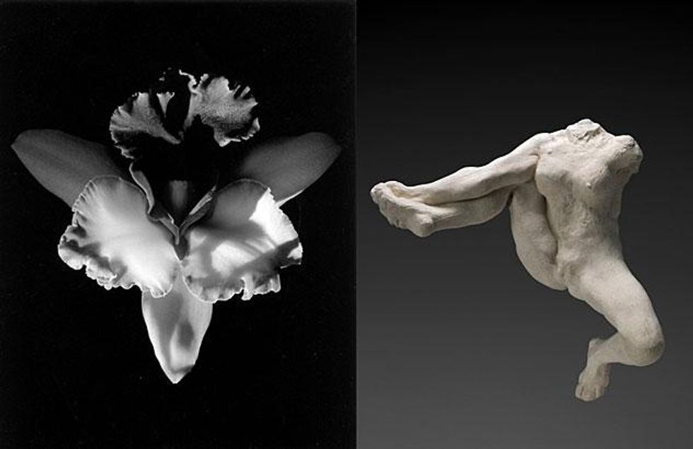 Mapplethorpe-rodin06x633_0