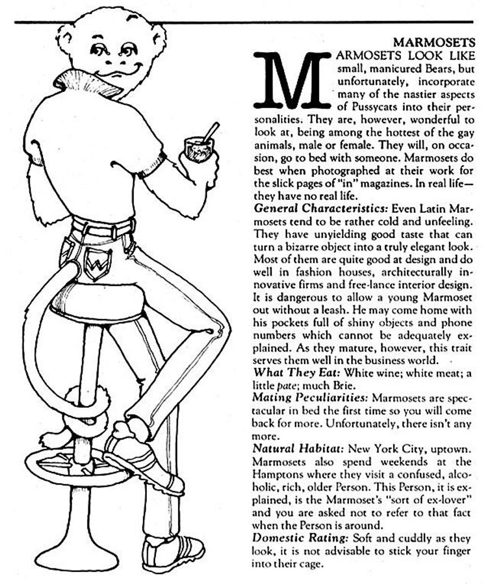 Marmosetsx633_0