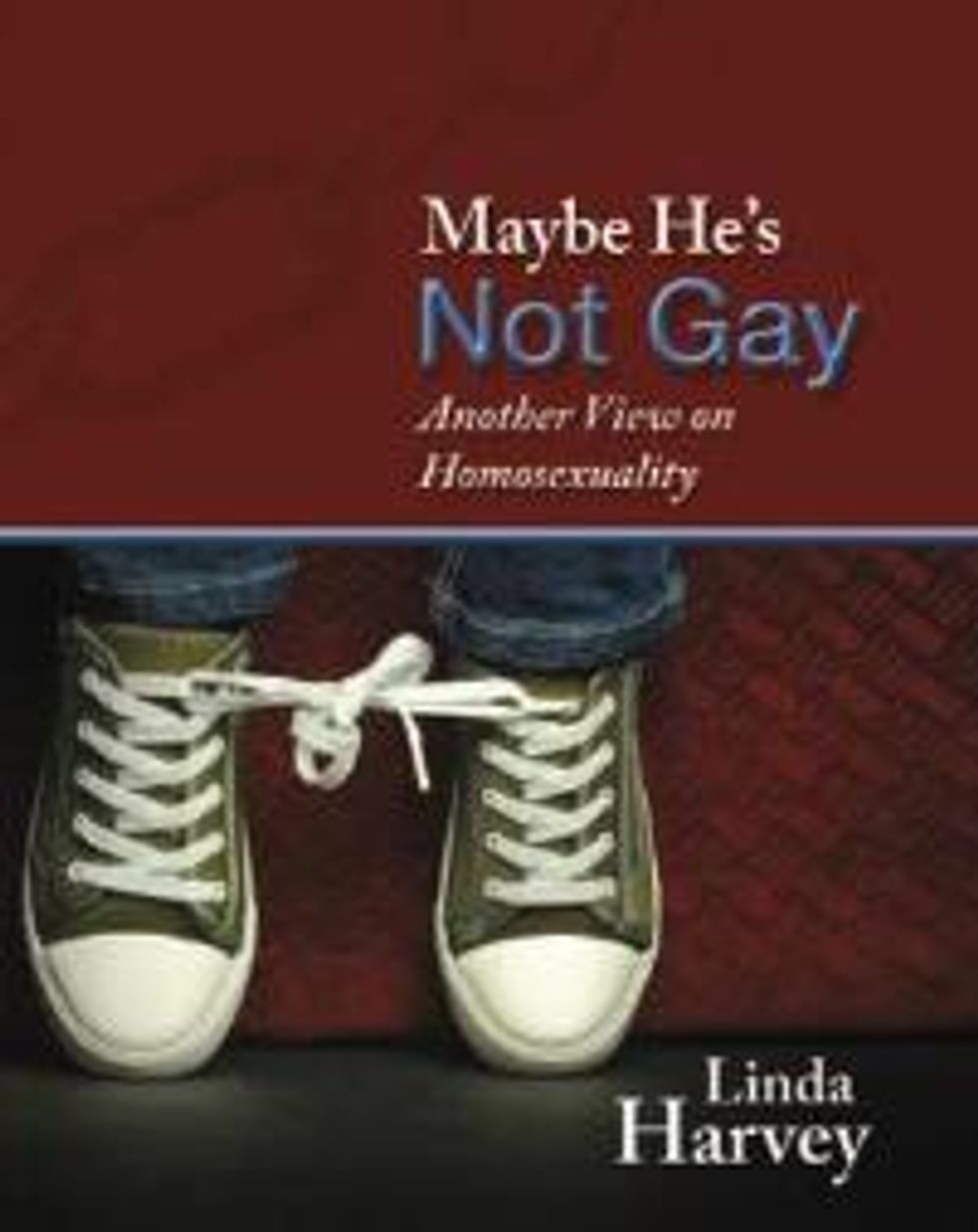 Maybe-hes-not-gay-linda-harvey-x200_0
