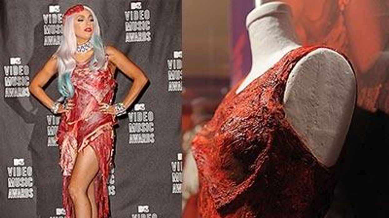 5 Years Later: See Lady Gaga's Meat Dress Now | Advocate.com 5 Years Later: See Lady Gaga's Meat Dress Now | Advocate.com