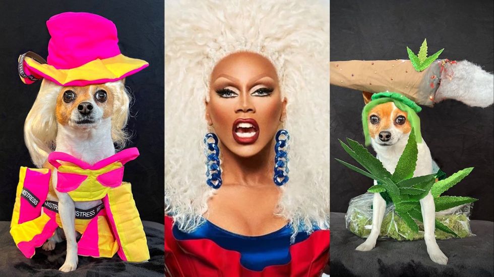 Meet RuPaul\u2019s Four-Legged Doppelganger RuPawl