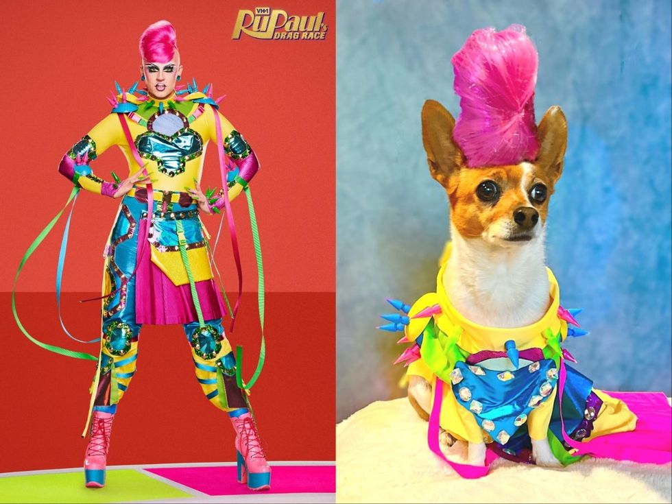 Meet RuPaul\u2019s Four-Legged Doppelganger RuPawl