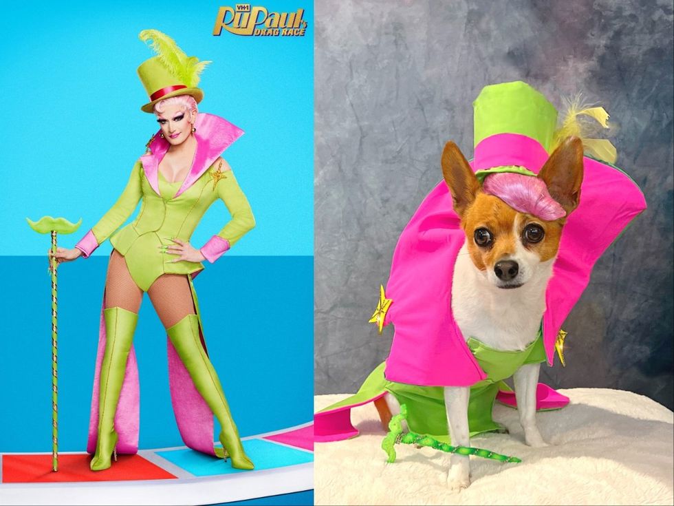 Meet RuPaul\u2019s Four-Legged Doppelganger RuPawl