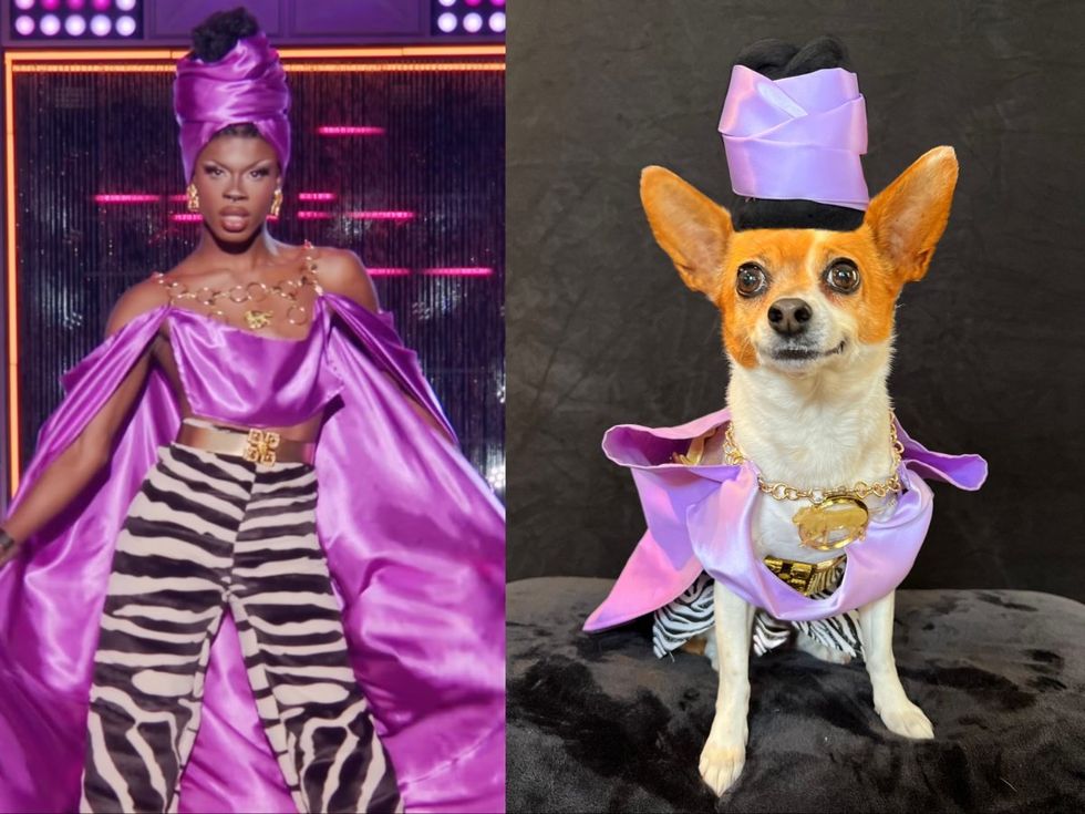 Meet RuPaul\u2019s Four-Legged Doppelganger RuPawl
