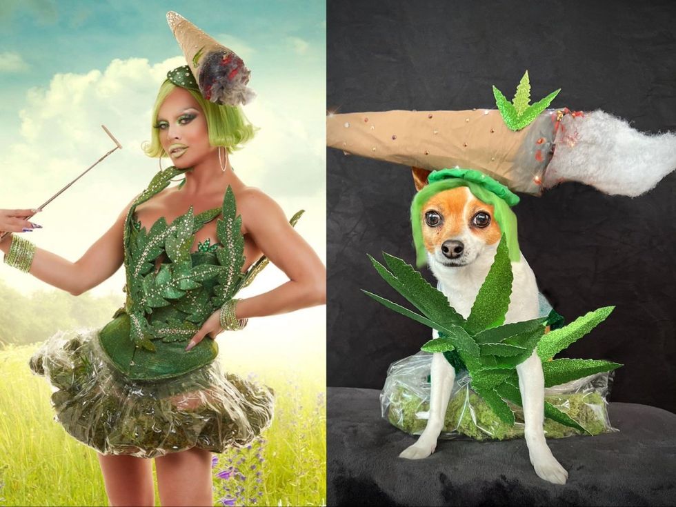 Meet RuPaul\u2019s Four-Legged Doppelganger RuPawl