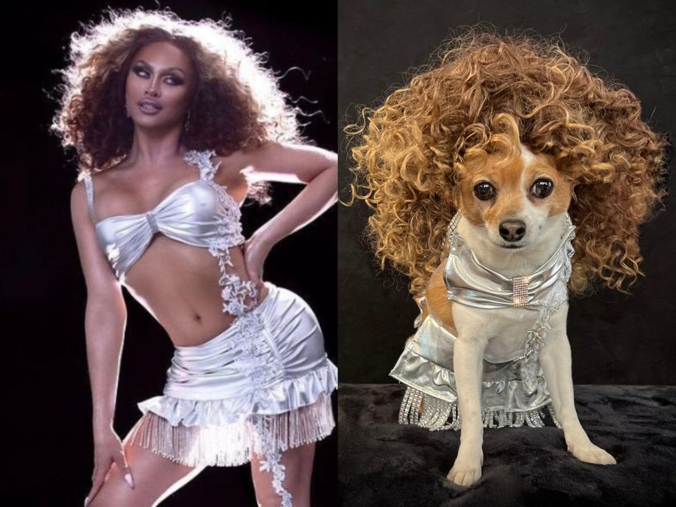 Meet RuPaul\u2019s Four-Legged Doppelganger RuPawl