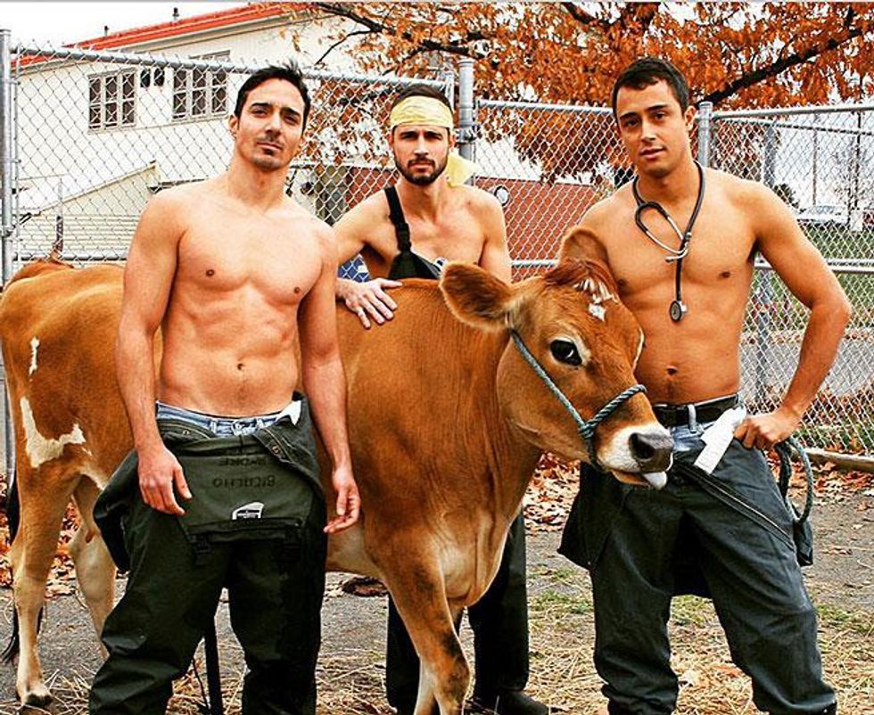 MEN OF THE VET SCHOOL CALENDAR 2016