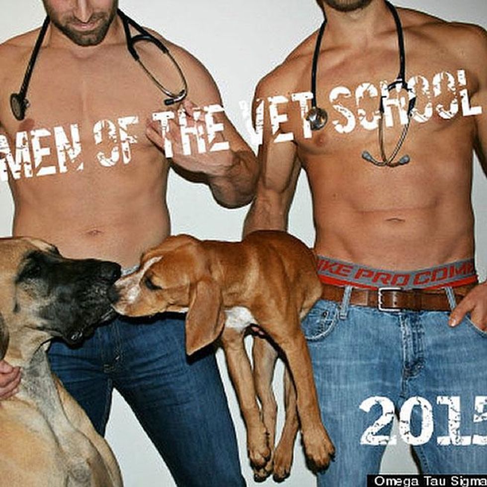 MEN OF THE VET SCHOOL CALENDAR 2016