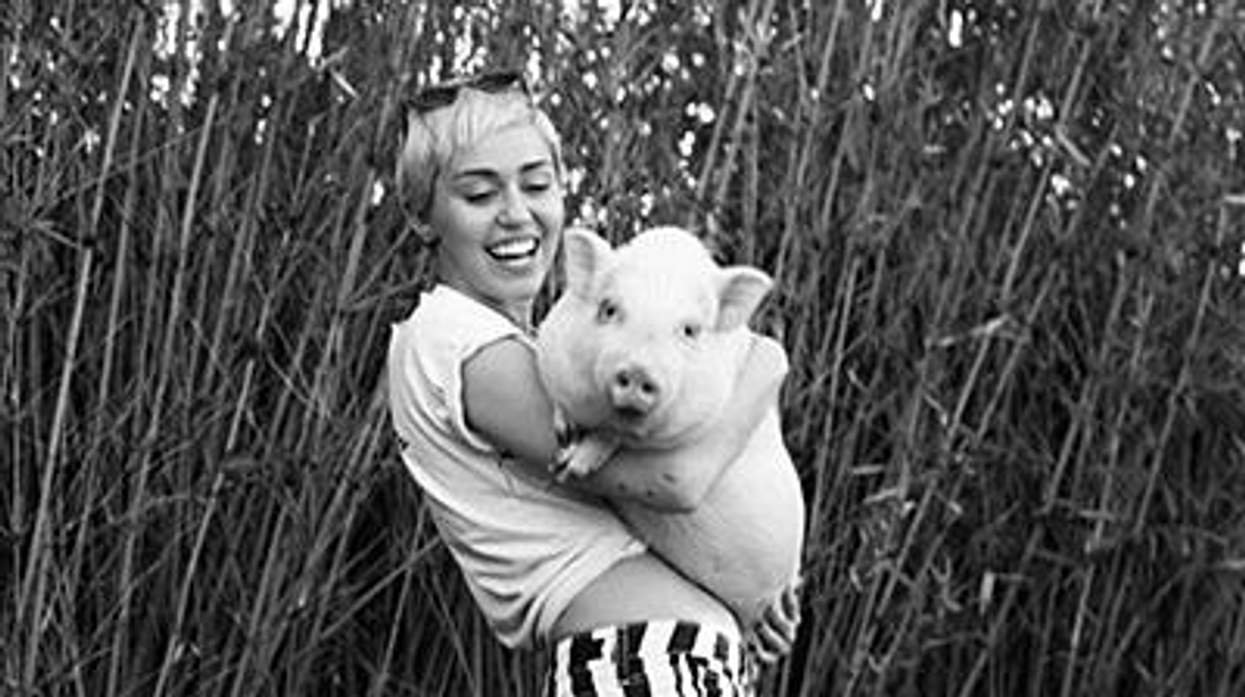 Miley_cyrus_prx400