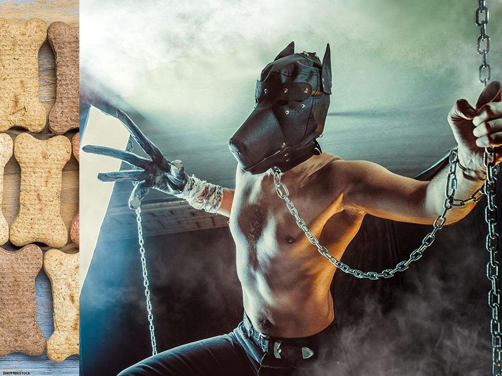 Milk-Bone on left = top handler. Dog collar around the neck/Milk-Bone on right = human dog/pup.