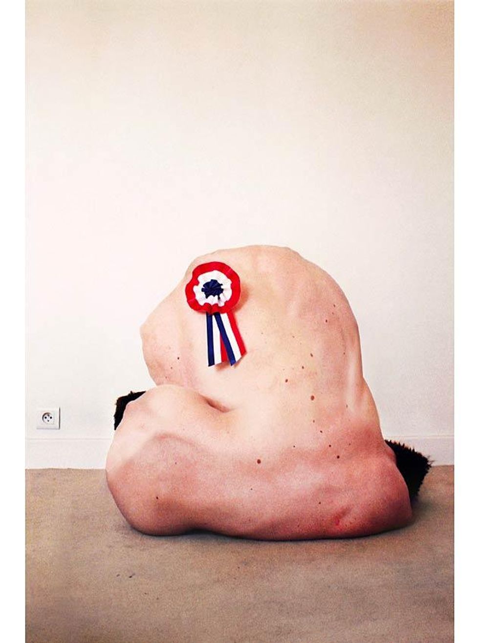 Monstre-a-la-cocardex633_0