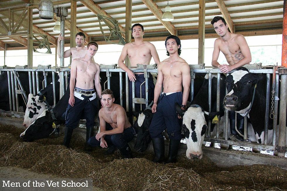 More information on the Men of Vet School 2017 calendar below.