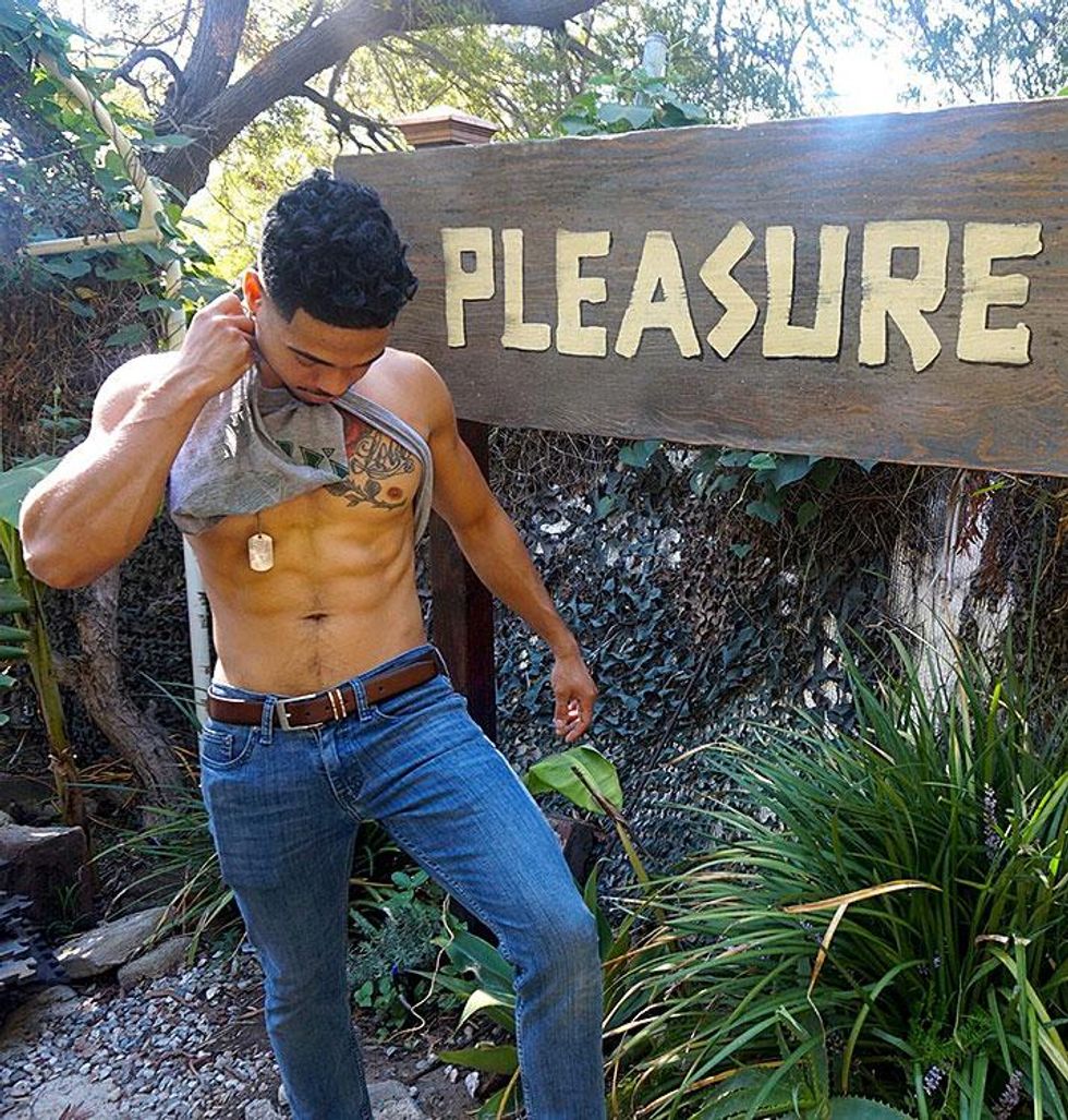 More intense pleasures of art models.