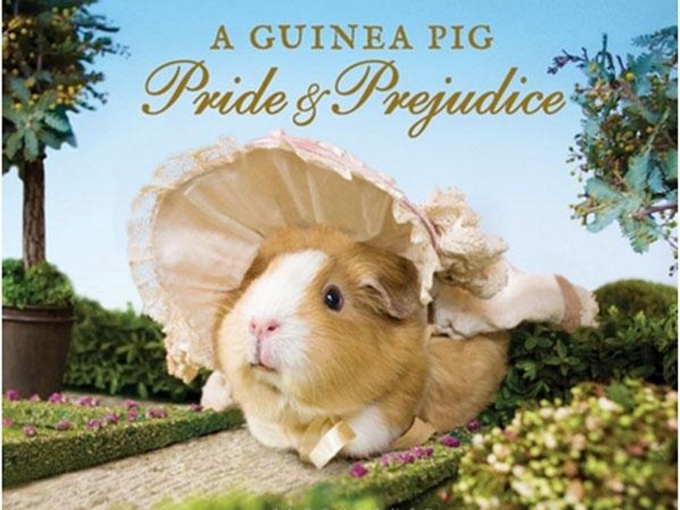 Mr. Darcy is sure furry now