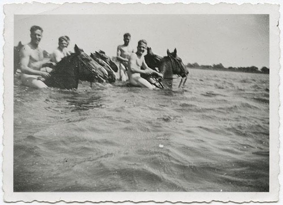 Mybuddy_horsesx633_0