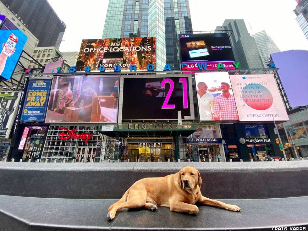 National Adoption Day - Times Square