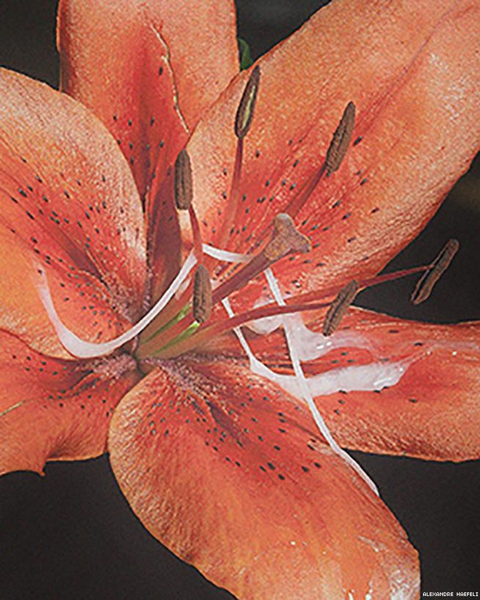 New Queer Photography