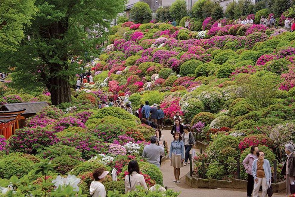 Nezu Shrine in Bunkyo-ku