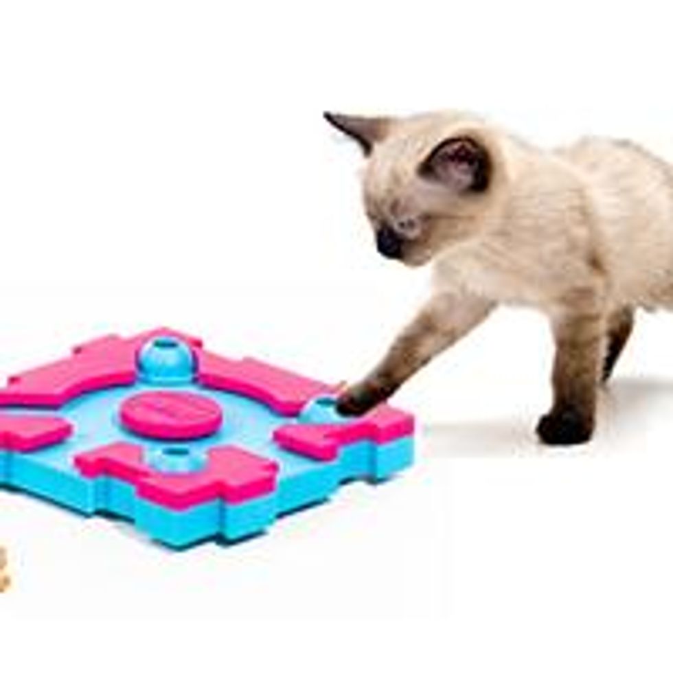 Nina-ottosson-toys-for-furry-tots_0