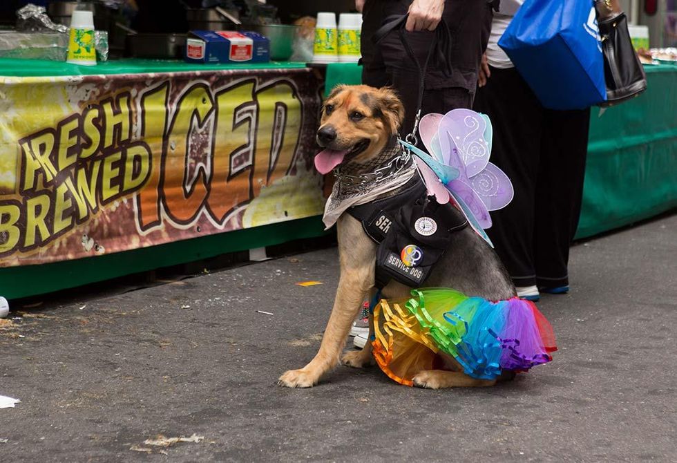 North_carolina_2016_pride_75_0