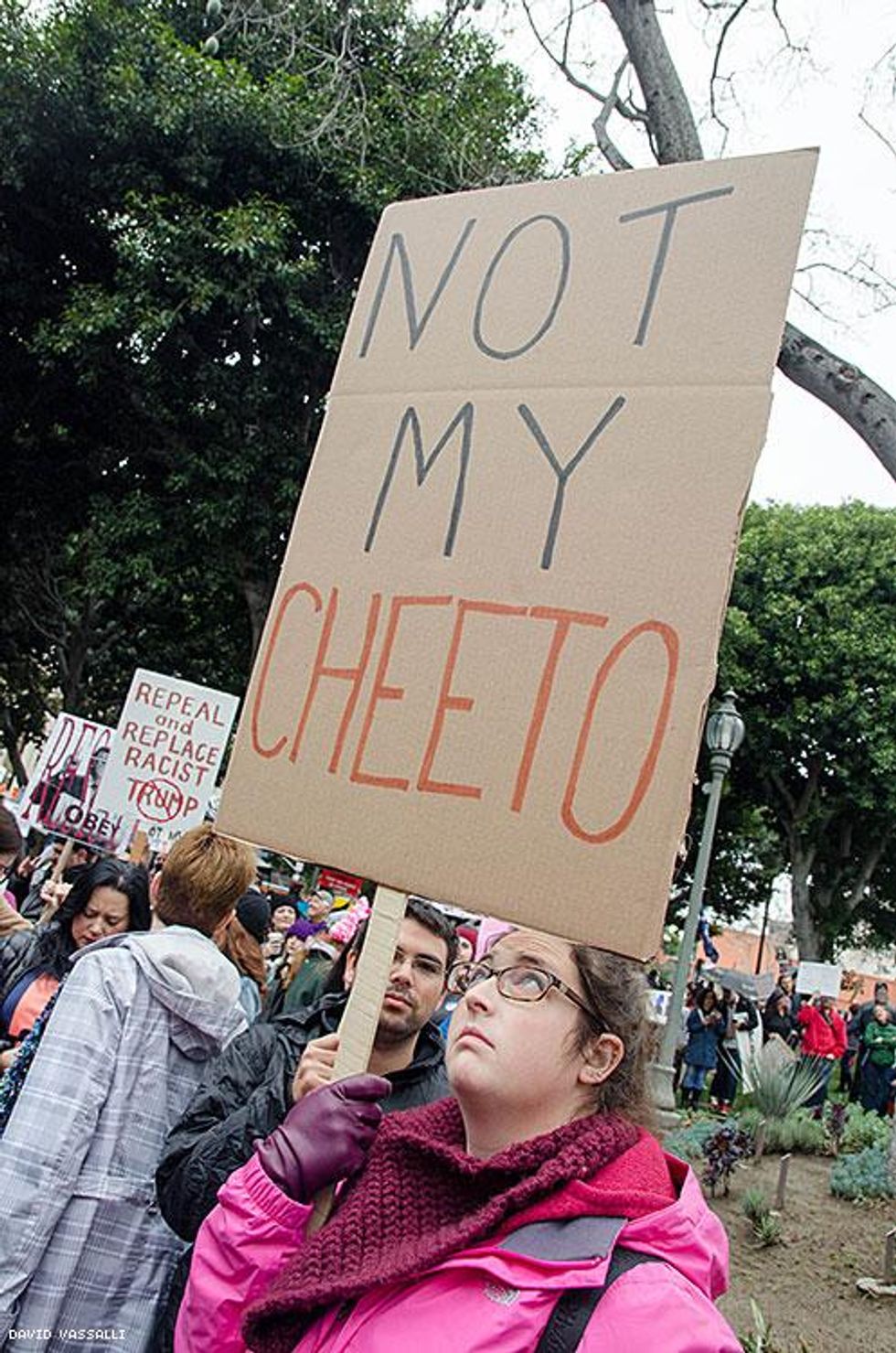 Notmypresidentsday_davidvassalli_feb2017-59