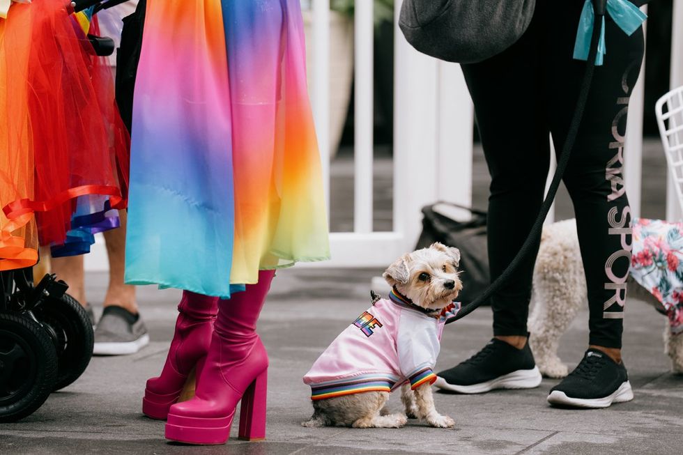 NYC Woof Fest Paws for Pride 2025 drag queens and rainbow dogs LGBTQIA pride celebration