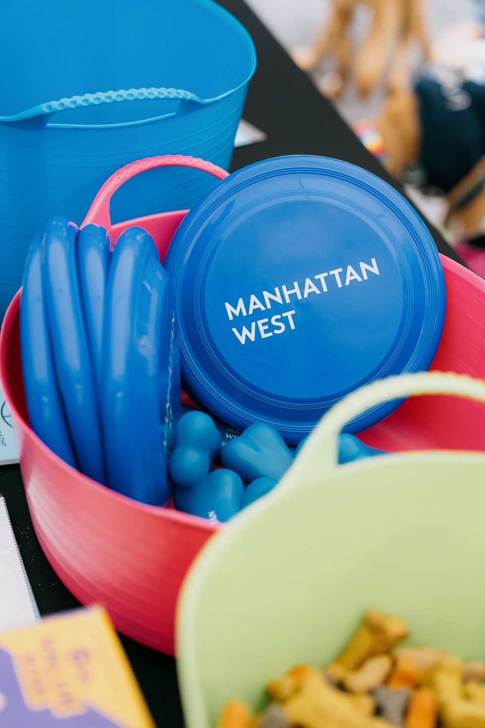 NYC Woof Fest Paws for Pride 2025 drag queens and rainbow dogs LGBTQIA pride celebration