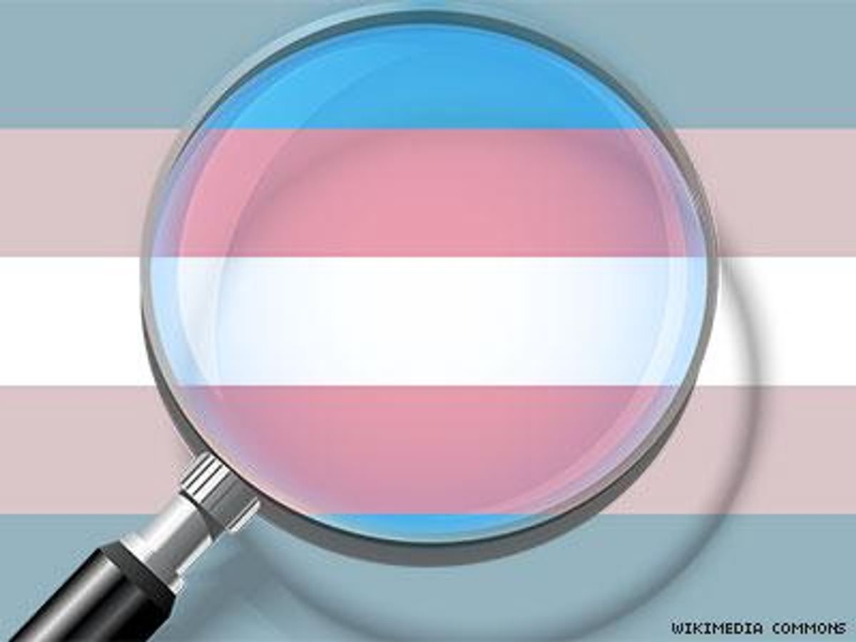 Op-ed--trans%2c-intersex-visibility-and-the-myth-of-scarcityx400