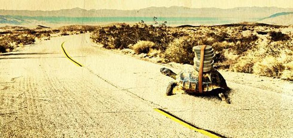 Palm_springs_international_shortfestx633_0