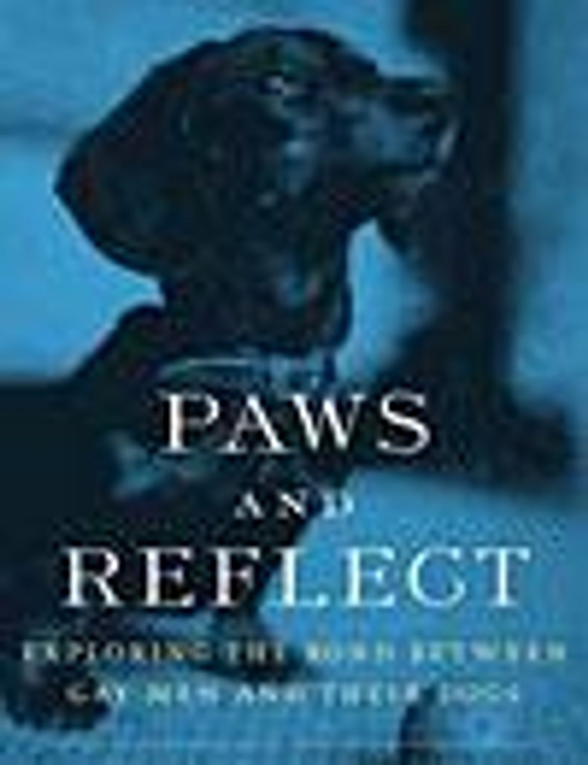 Paws_reflect