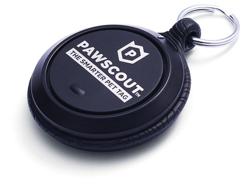 Pawscout Smart Pet Tag tracks their movements via an app. ($20, Pawscout.com)
