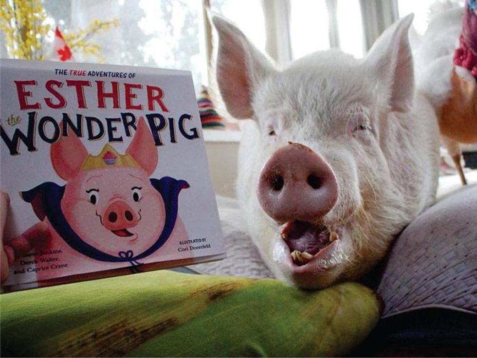 Photo courtesy of Steve Jenkins