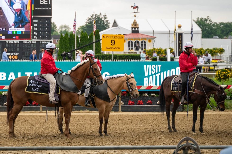 photo gallery peek at LGBTQ fashion inside this years Preakness Stakes horse race baltimore
