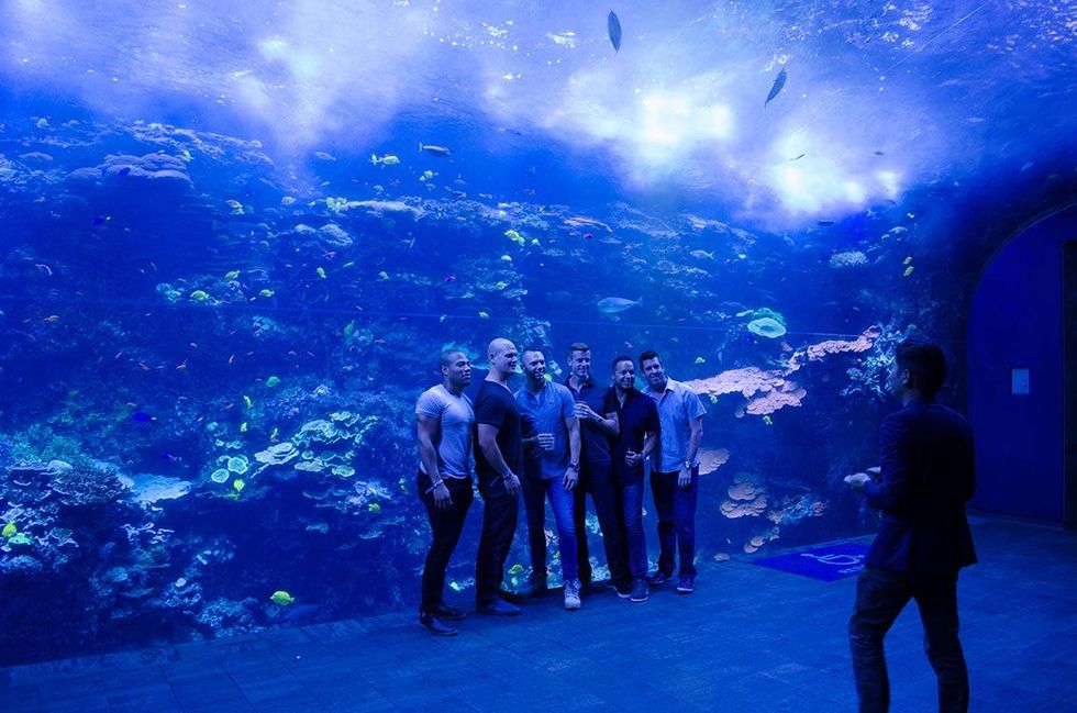 Photo: Stan Fong, Atlanta Pride Committee, Inc.