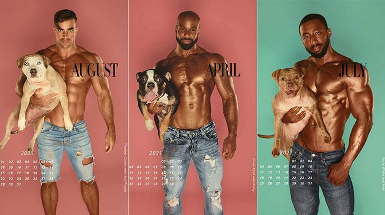 Pitties and Pecs Calendar