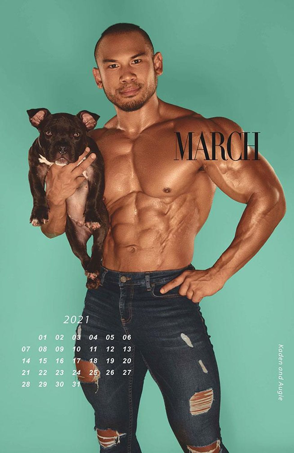 Pitties and Pecs Calendar