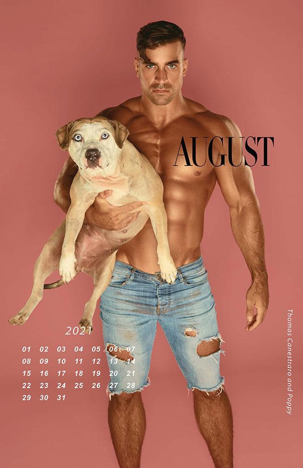 Pitties and Pecs Calendar