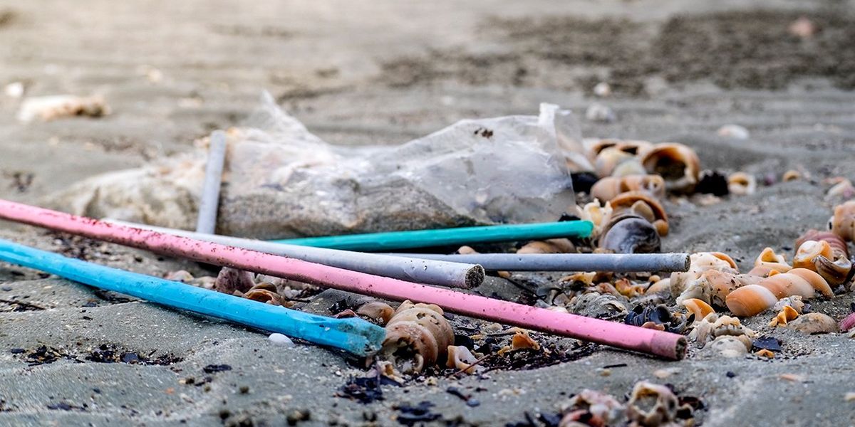 Concerned over plastic straws? Here's what you can do to reverse climate change's impact