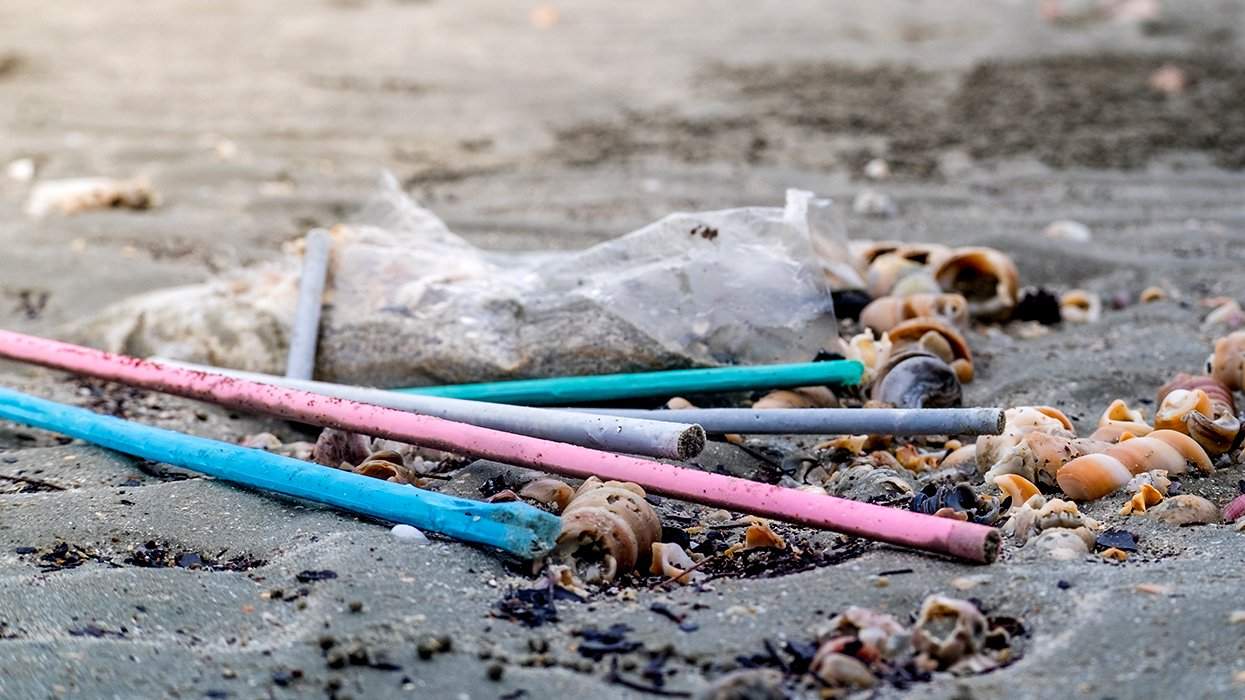 plastic straws washed up with shells on the beach