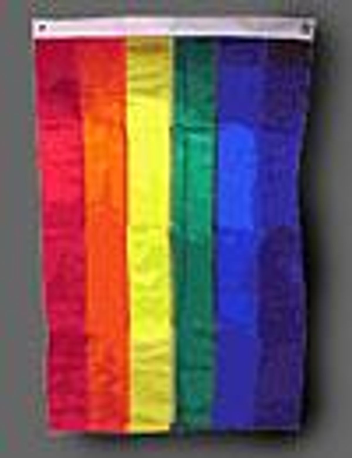Rainbow_flag_vert_1