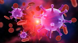 Can a single infusion of immune cells suppress HIV for years?