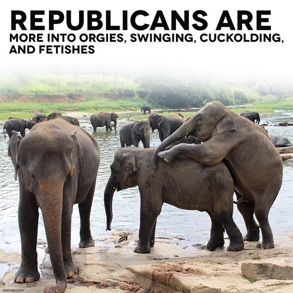 Republicans_762753982