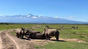 South Florida husbands among Americans killed in Kenya helicopter crash