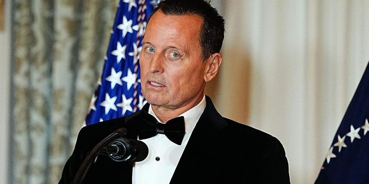 Ric Grenell's very 'normal gay' implosion