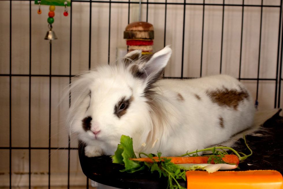 River Montessori High School South Bend Indiana