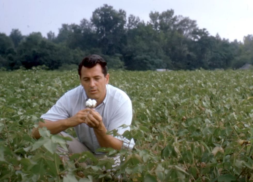 Rock Hudson Films