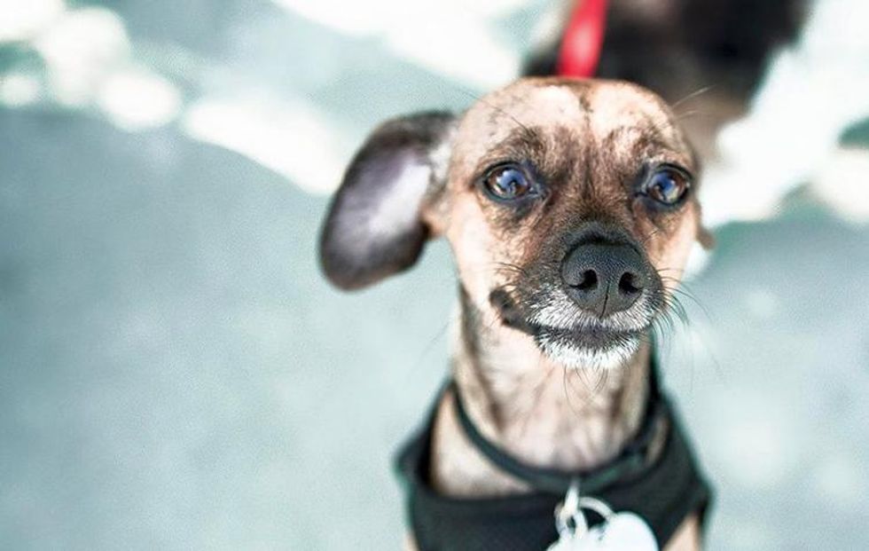 Screen_shot_2016-08-12_at_8