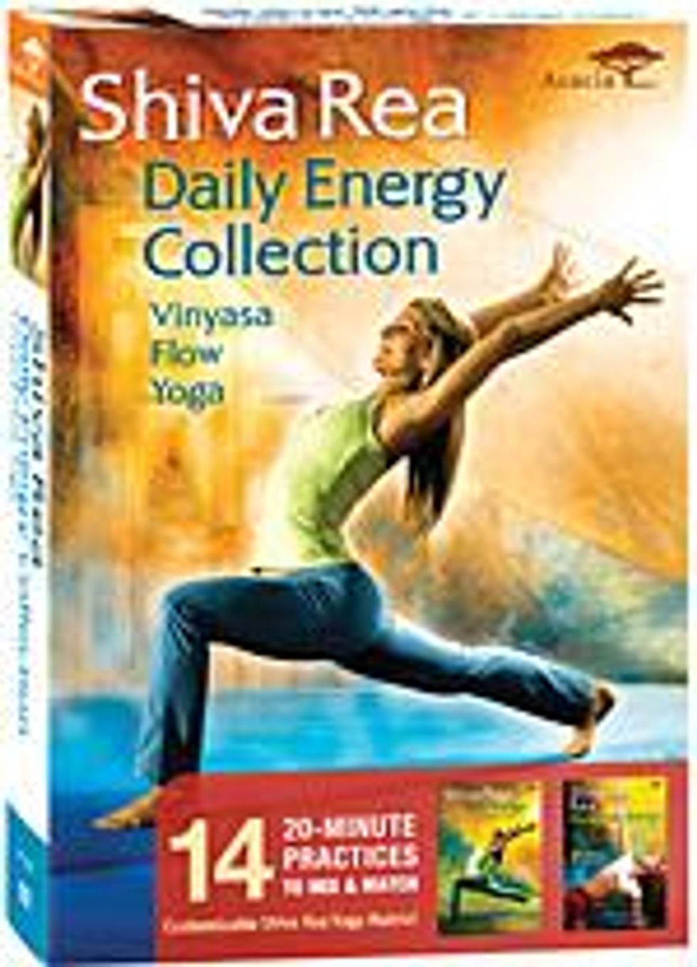 Shiva_daily-energy-collectionx150